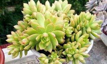 结婚失败后，离婚释放了我，从压抑到自由的过程让我重新领略人生的意义：一个对于离婚解脱了的心情的真实分享