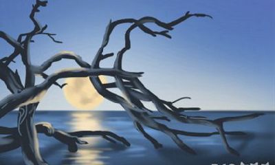 徐墨斋2016年9月生肖狗的命运展望与运势分析