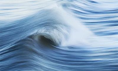 在2023年的正月初二，按照黄历的指引，我们是否适宜举行祭祖祭祀的活动呢？