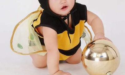 2019年属羊的人生肖猪宝宝，哪个月份出生最佳？其健康状况如何？