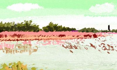 老铁，听说了吗？这些生肖在行动中特别稳定可靠！