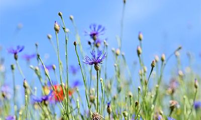 2023年正月初五是哪个节日，应该如何庆祝？