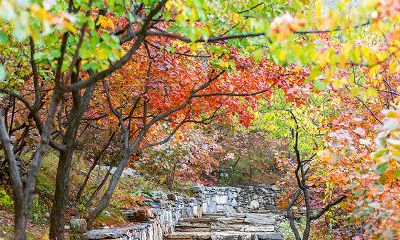 对2019年12月出生的猪宝宝的前途和运势进行详细解析