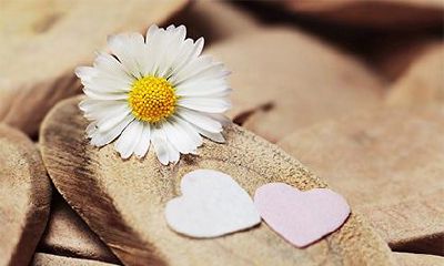 在农历2023年正月二十六日的黄历上，是否适宜进行祈福活动？