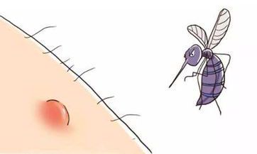 指南——了解生肖虎买房风水的宜忌之道