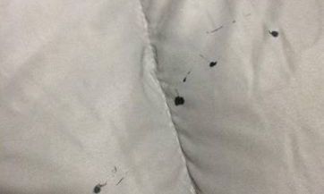 什么月份出生的男人手掌断纹最佳？男性手掌断 lines 代表什么寓意？