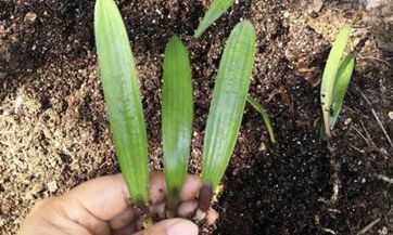 男性的财运不旺通常出现的原因——从风水观点探索财运之谜