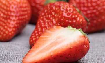 今年53岁的人应属于哪个星座？