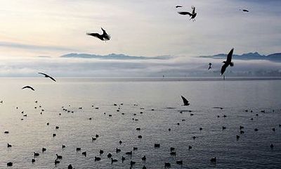 2023年正月二十八日是否适合进行祭祀祖先仪式？为确保仪式顺利进行，需要注意哪些事项？