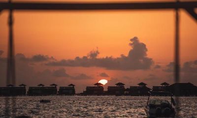 2021年水瓶座工作运势：得到贵人相助，心有灵犀共进退，同频共振步伐和谐一致