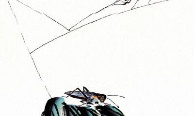 2019年是属鼠人的一月份适合结婚吗？在1月份选择什么吉日结婚最好？