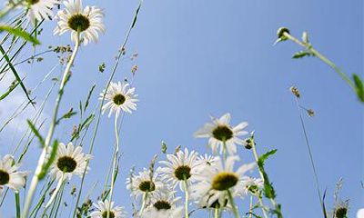 2023年大年初十日期、黄历宜忌一览表，有何注意事项？