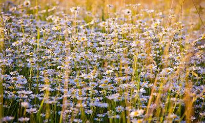 2023年的正月初三是什么日期？请告诉我具体的日子