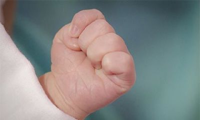 2023年农历正月出生的属兔男宝宝，究竟有何命运？他的性格又如何？让我们一探究竟！