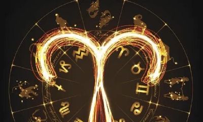 探究白羊座男性的性格特征及其影响因素