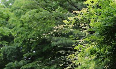 请告诉我2022年农历腊月十八对应的阳历日期是什么，今年农历腊月是否有30天？