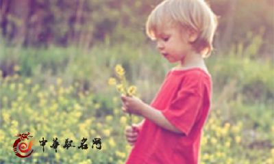 2018年狗年男宝宝名字推荐：从喜庆、吉祥到文艺、古典，精选各种风格的名字供您挑选！