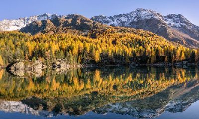 在2023年正月初六出生的人是否与佛有缘呢？这个问题值得探讨！