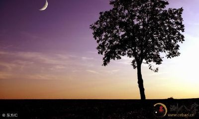 如何通过八字的月柱揭示人生运势的预示信息？