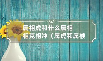 被属相虎困扰？来了解属相相克和冲的解决方案：属相虎和哪些属相不合适？尤其是属相虎和属猴的冲突，如何有效化解？
