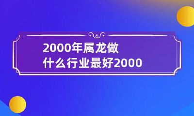 2000年属龙的人，哪些工作领域能有更好的发展和职业前景？