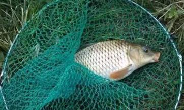 如何化解房屋形态带来的吉凶影响，应对房屋风水不良的情况？