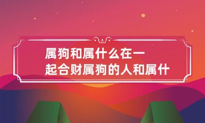 属狗的人和属何物结伴财源纷至，一同探究合财实现财富增长的秘诀