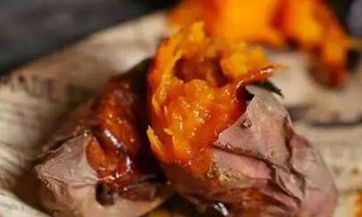 经历沧海桑田的佛缘女性：探究佛缘在女性命运中的作用及它对女性命运的影响如何？