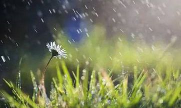 2023年农历三月三，广西是否全面放假呢？