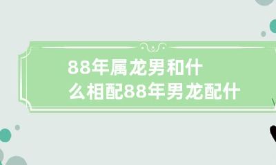 88年属龙男的最佳配对星座是哪些？