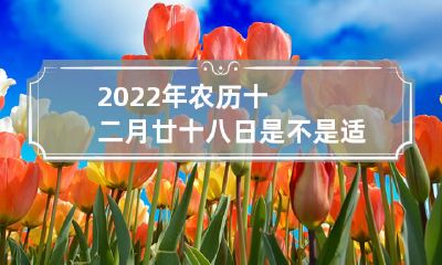 2022年农历十二月廿十八日适宜选择为出殡日吗？