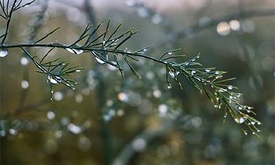 2023年正月初一是否适合搬家，大年初一是否是合适的乔迁时间？