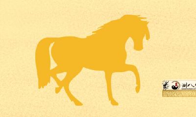 出生在属马人的哪个月份会更加不顺？