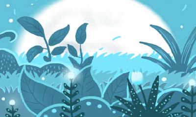 泓翔老师2017年2月属羊感情运势：一份全面的爱情解读和预测