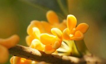 到来，有哪些适合举办的活动呢？