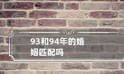 是否能够进行成功的婚姻匹配：探讨1993年和1994年之间的情感关系