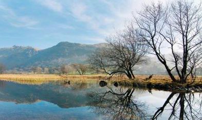 属于龙年出生的女性与属于狗年出生的男性，他们之间的婚姻是否值得期待和考虑？