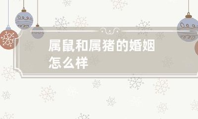 属鼠和属猪的婚姻：成功的概率和关键因素是什么？