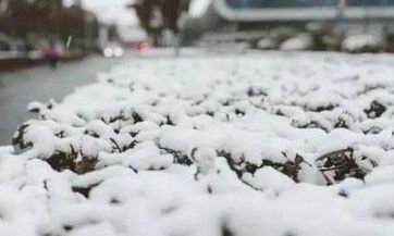 2023年农历七月是否存在适合属鼠者搬家的吉日？