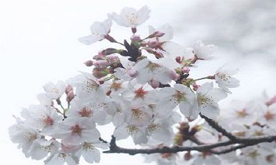 2023年正月初二那个特别的日子：我的生日！