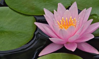 2023年，一位女性抵抗月初七生日的独特方式