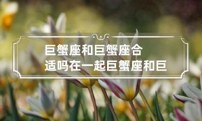 巨蟹座和巨蟹座组合在一起是否合适？