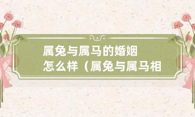 如何提高属兔与属马的婚姻质量：建议与注意事项