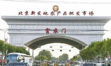 如何选择2023年适宜立墓碑的黄道吉日？在修坟事宜中，最大的忌讳就是不立碑