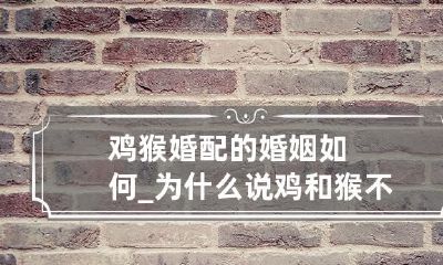 为什么鸡猴婚配的婚姻容易出现问题？探讨鸡和猴的性格特点和心理差异