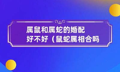 属鼠和属蛇的婚配是否相得益彰？探究一下鼠蛇属相合适性如何