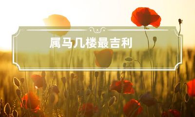 属马的人选择在几楼居住最具有吉利之意