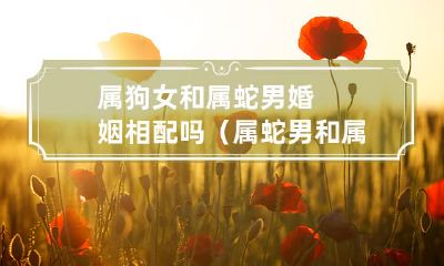 属狗女与属蛇男的婚姻是否相得益彰？探究属蛇男与属狗女相处之道！