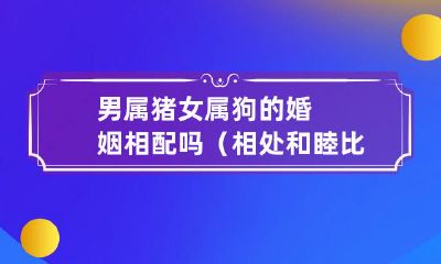 男性属猪、女性属狗，婚姻相容指数调查：从相处和睦和婚姻稳定角度考虑，是否具备相配优势？
