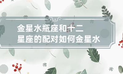 如何分析金星水瓶座和其他十二星座之间的配对关系？